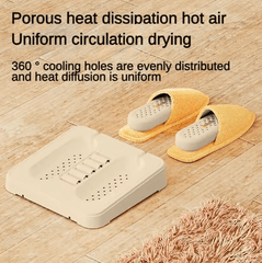2-in-1 Shoe Dryer