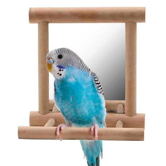 Bird Stand With Mirror