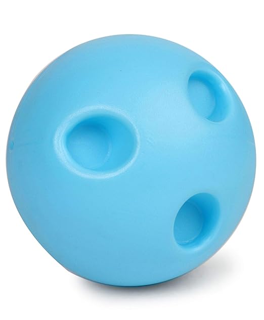 Bowling Toy