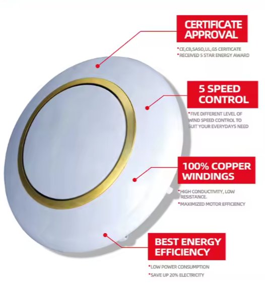 Electric Ceiling Fan ©