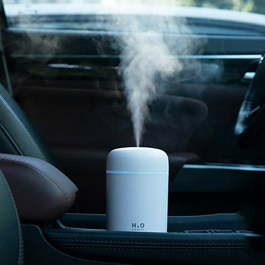 H2O Air Humidifier