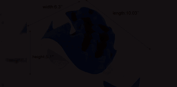 The Neck Muscles Support Muscle Relaxation and Relaxation