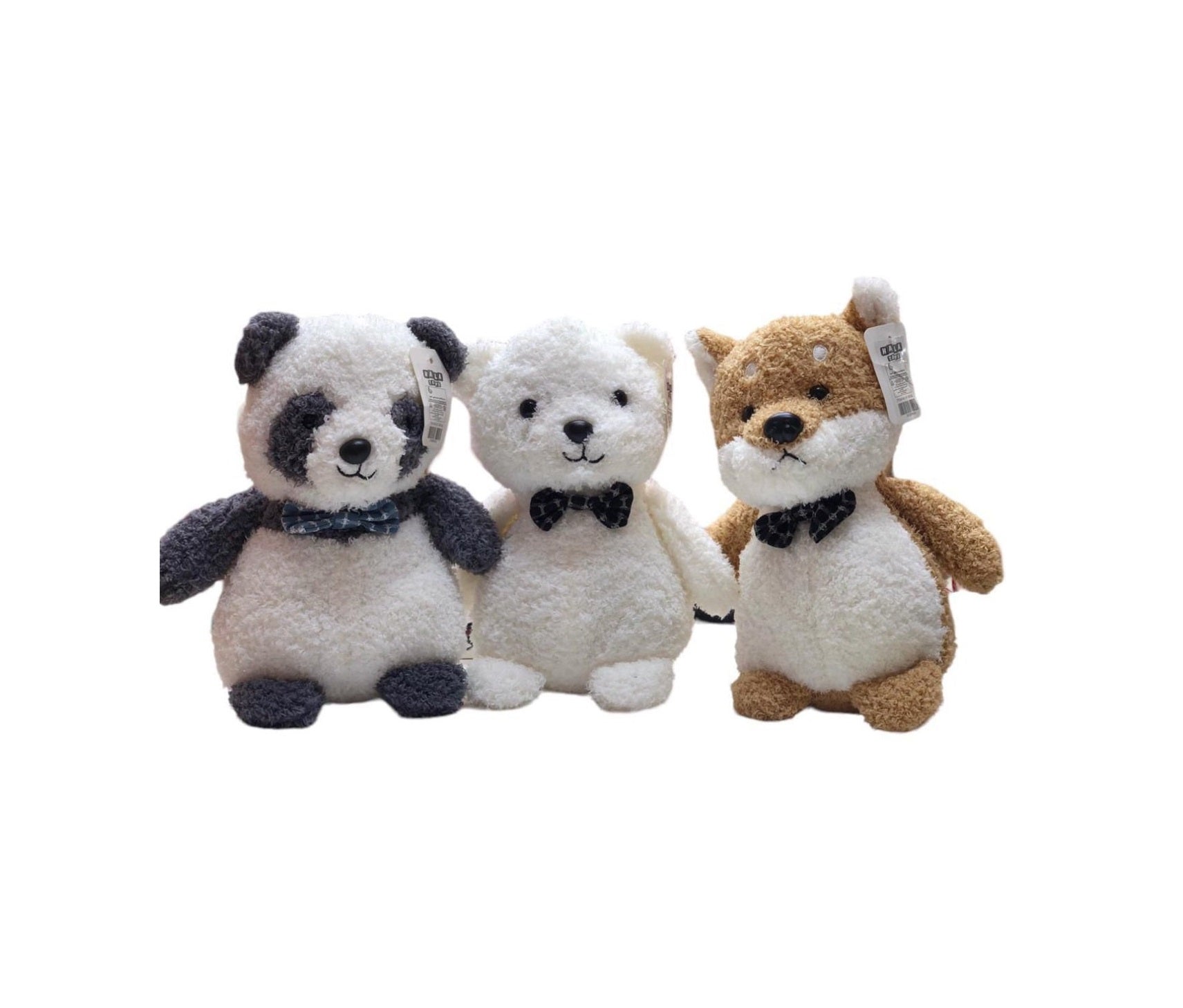 Teddy Panda (12pcs) ©